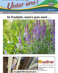 Brixner-Zeitung-05-2017-Internet.pdf